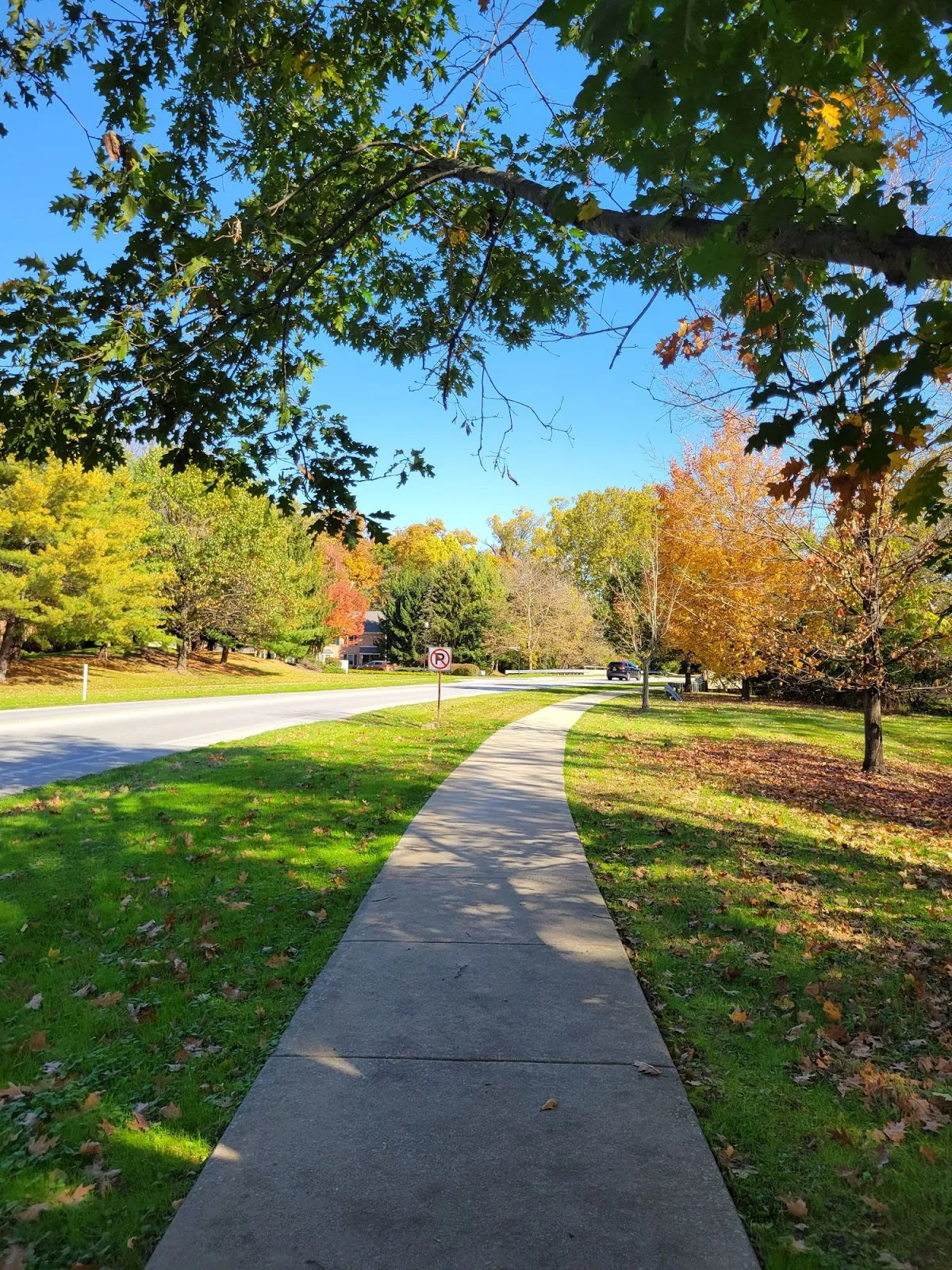 Berks Counseling Center center photo